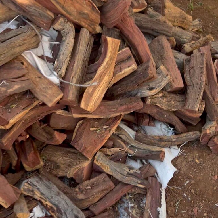 حطب قرض أفريقي