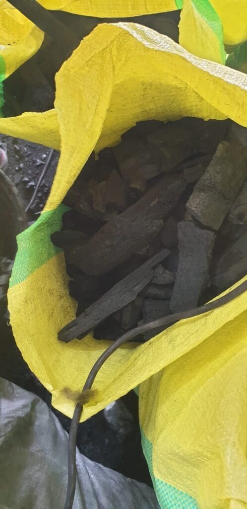 فحم الجزورين