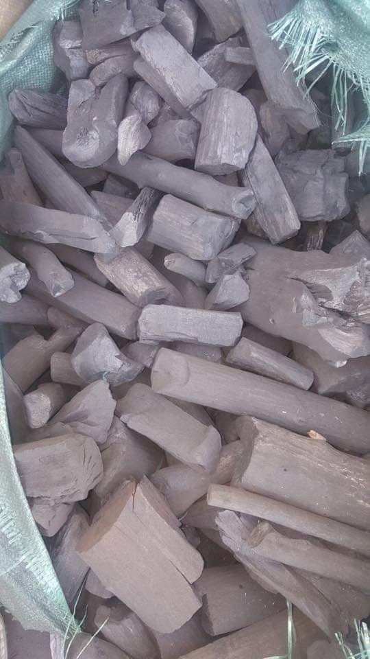 فحم كودا صومالي